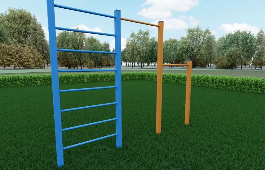 Турник со шведской стенкой YDS 30-005